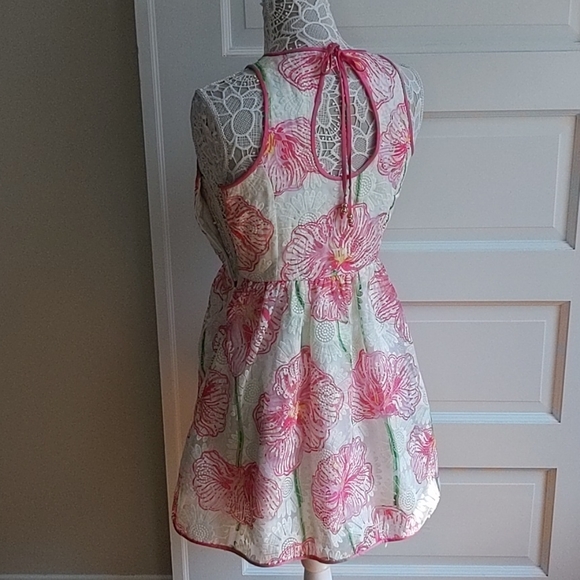 STUNNING Lilly Pulitzer Darcelle Dress Size 2 - Picture 16 of 16